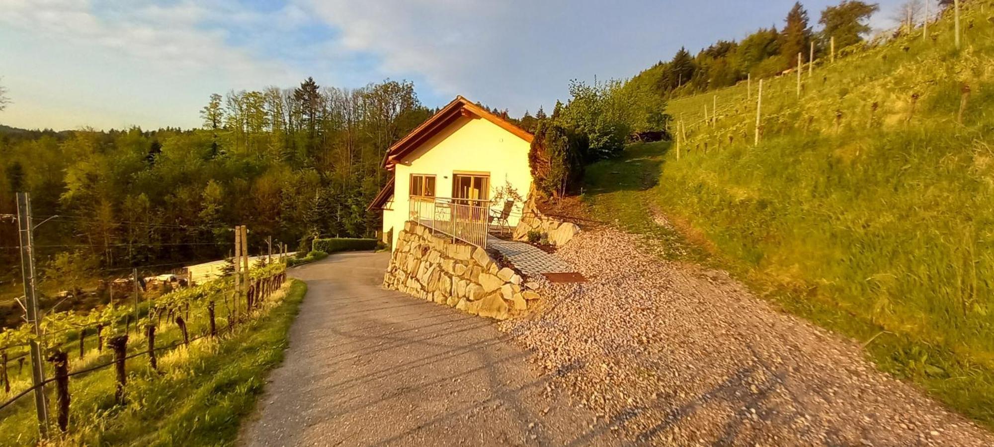Schwarzwaldglueck Apartment Оберкирх Екстериор снимка